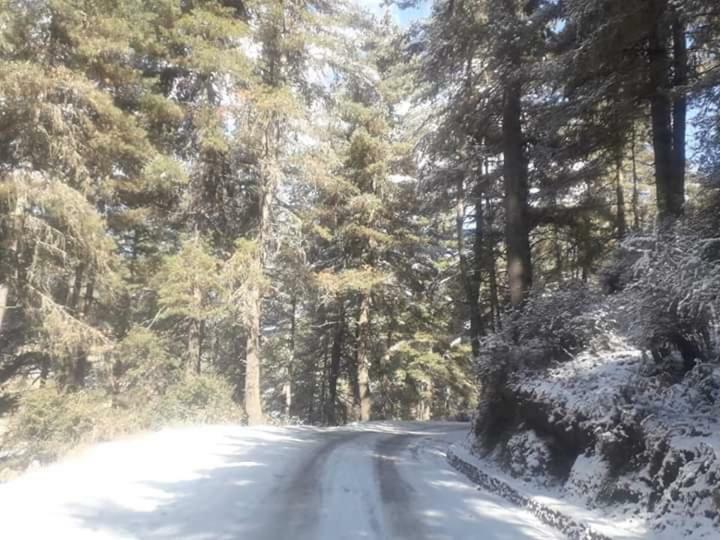 Odiyana Hotel Gangtey Gonpa Buitenkant foto